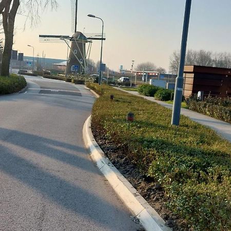 Wijngaardstraat 7A Domburg Villa Eksteriør billede