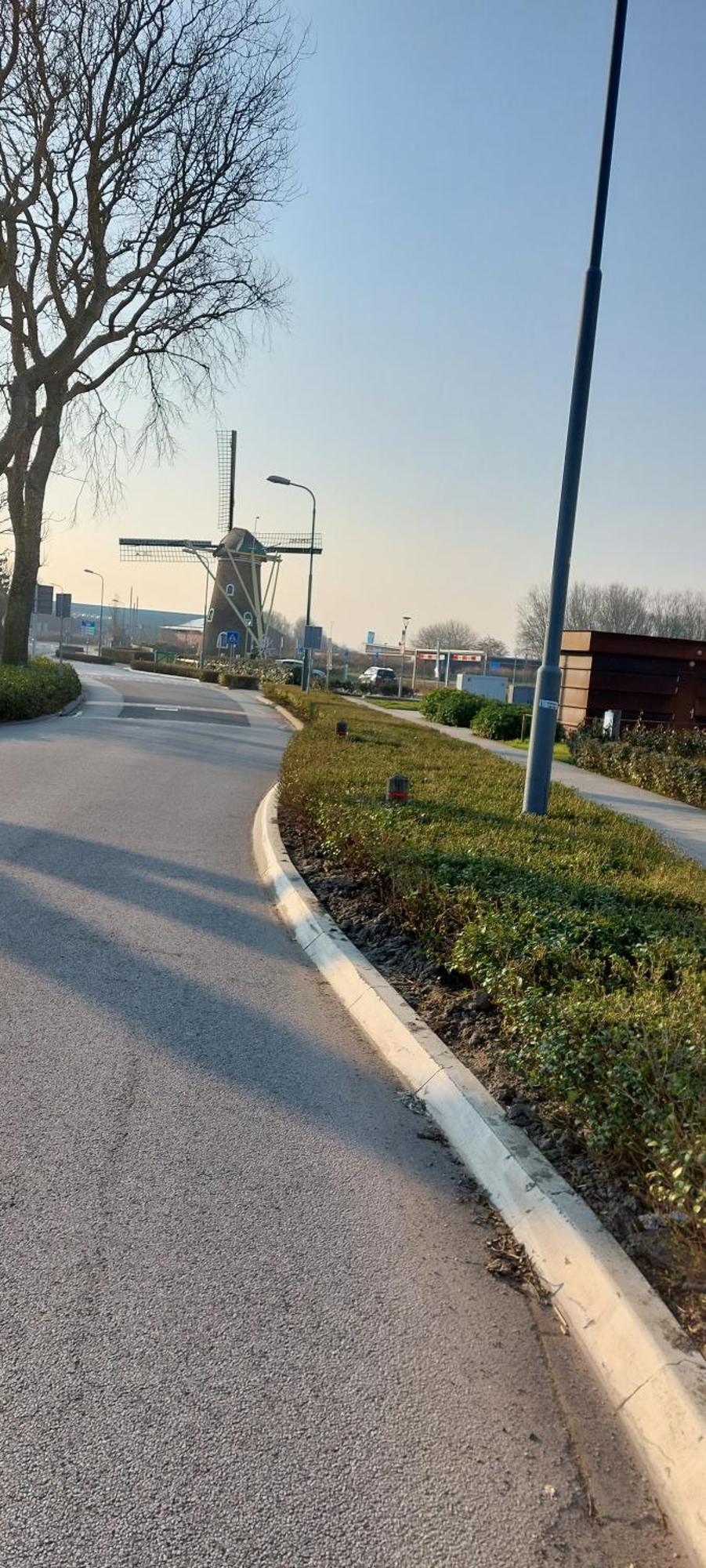 Wijngaardstraat 7A Domburg Villa Eksteriør billede